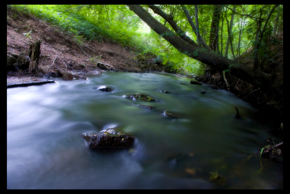 Der Hasenburger Bach