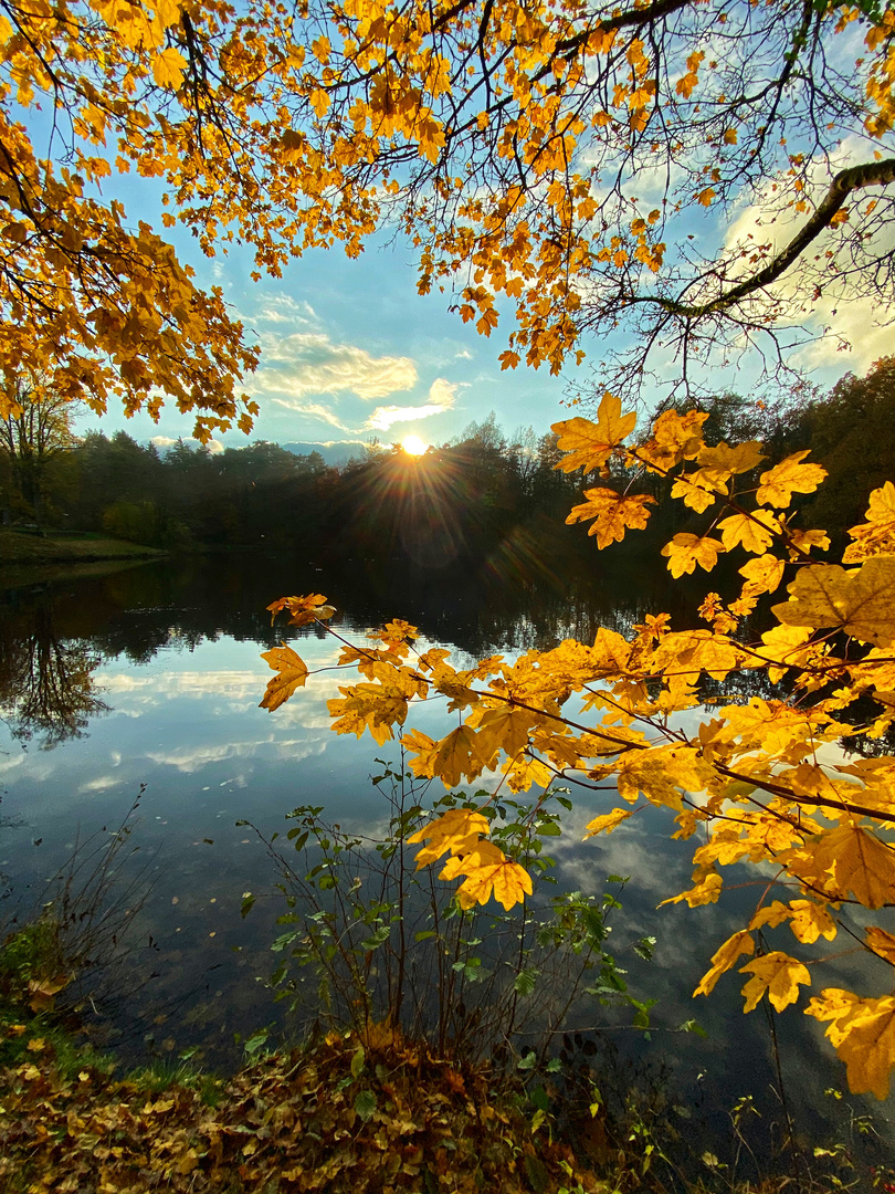 Der Hasselbachteich in der Herbstsonne...