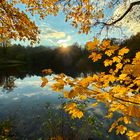 Der Hasselbachteich in der Herbstsonne...