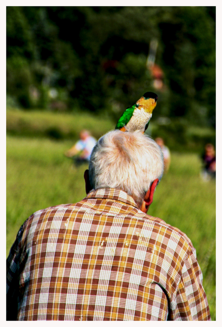 der hat nen Vogel