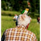 der hat nen Vogel