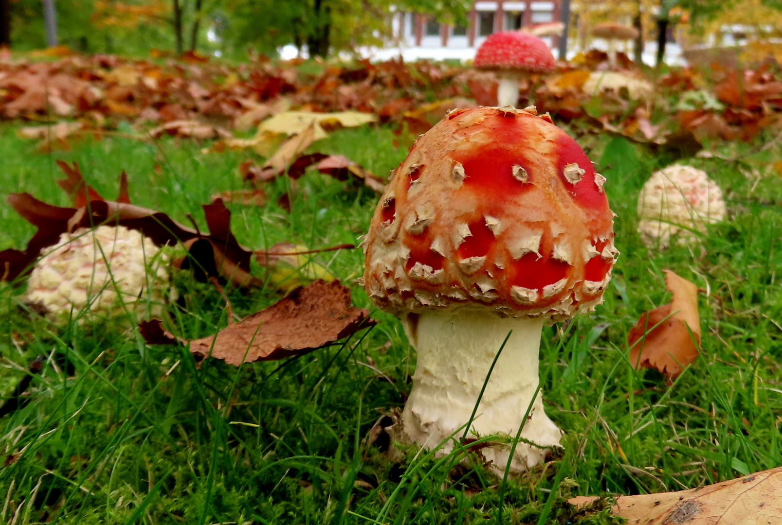 Der hat sich ein besonderes Outfit