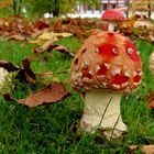 Der hat sich ein besonderes Outfit