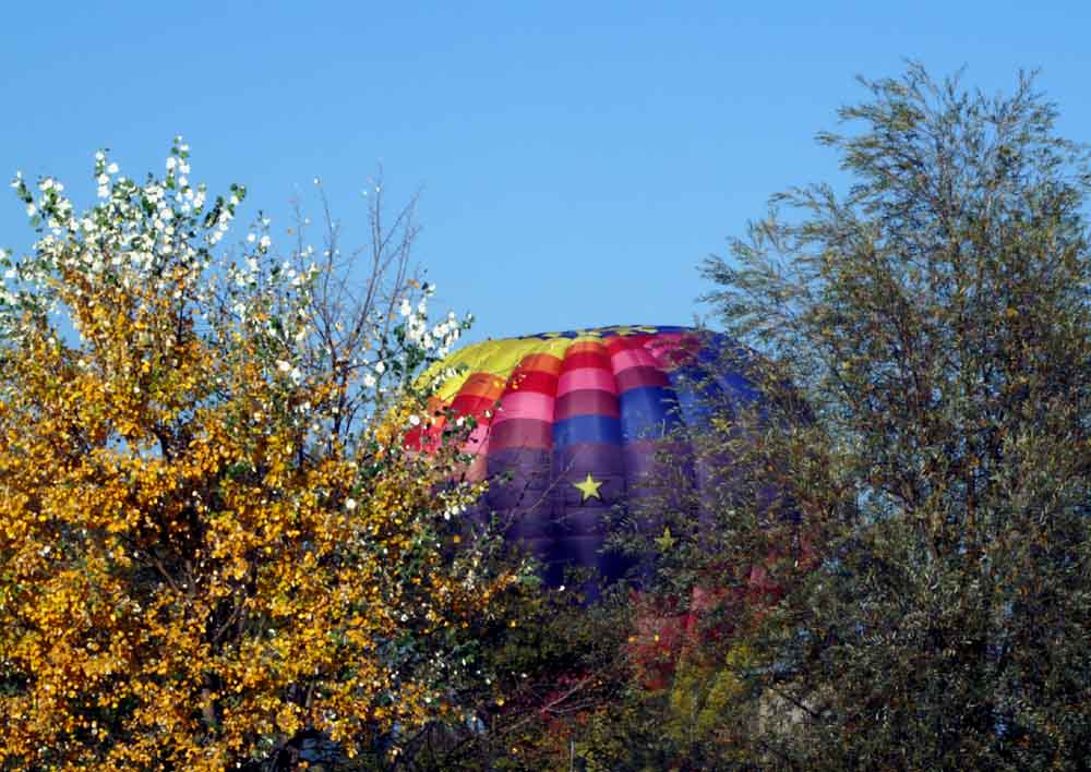 Der hat sich hinter dem Gebüsch versteckt. ---