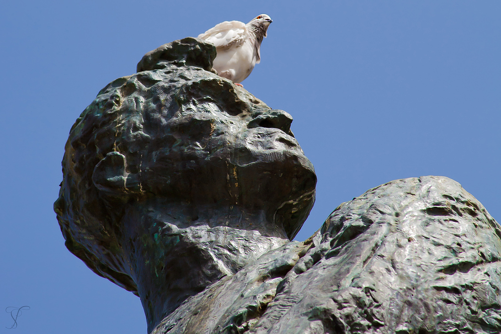 Der hat wohl 'nen Vogel...