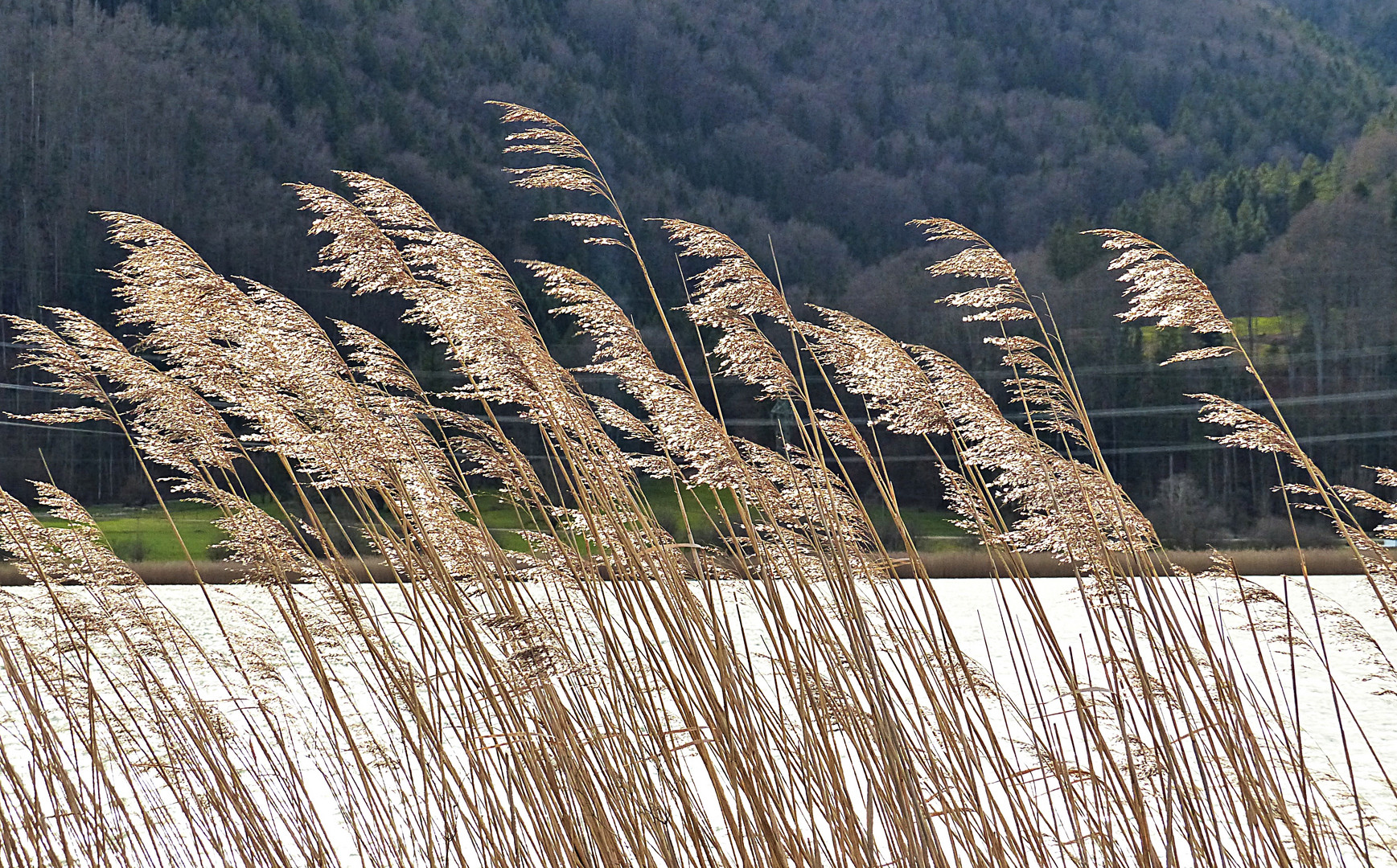 Der Hauch des Windes