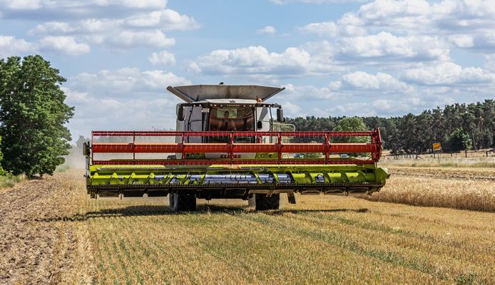 Der "Hauptakteur"...