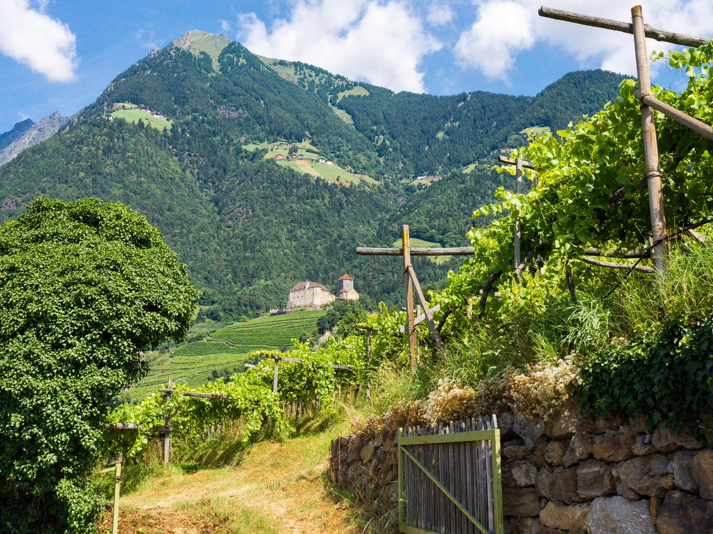Der Hausberg von Dorf Tirol
