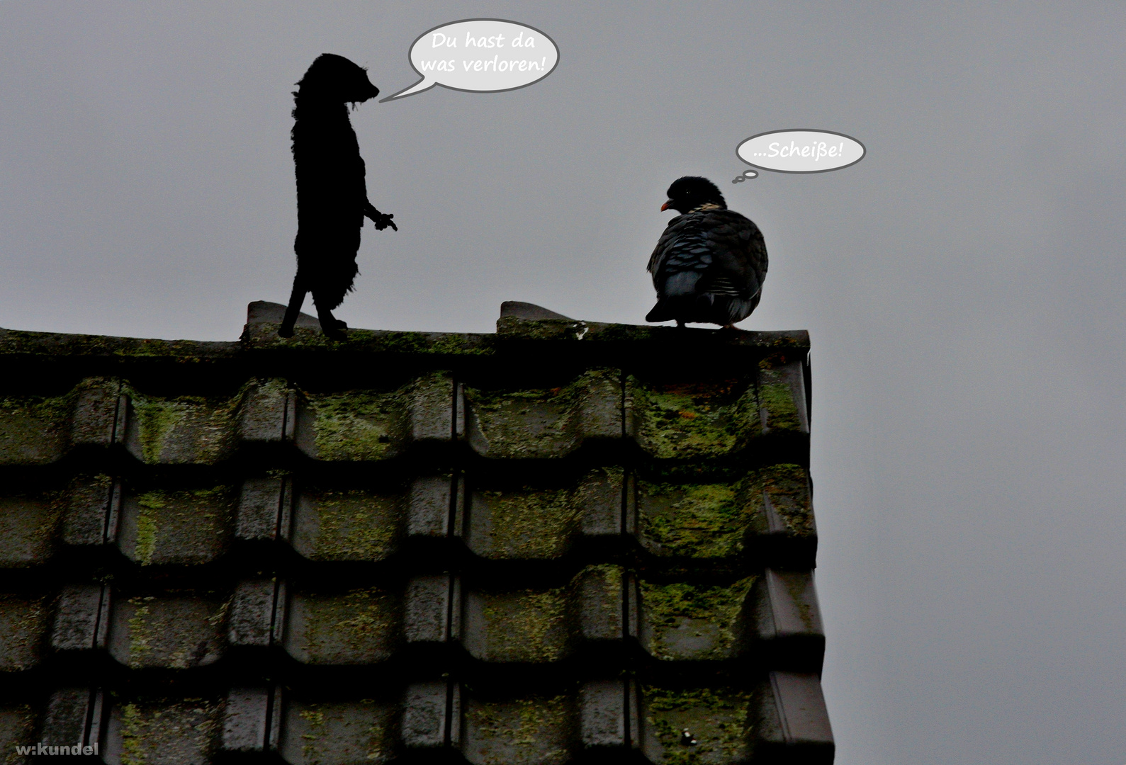 der Hausmeister Foto & Bild bilder, fun, spezial Bilder auf