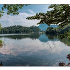 Der Hechtsee im August