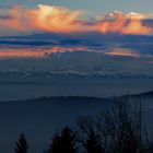 Der Hegau im Nebel bei spätem Licht