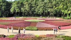 der Heidegarten