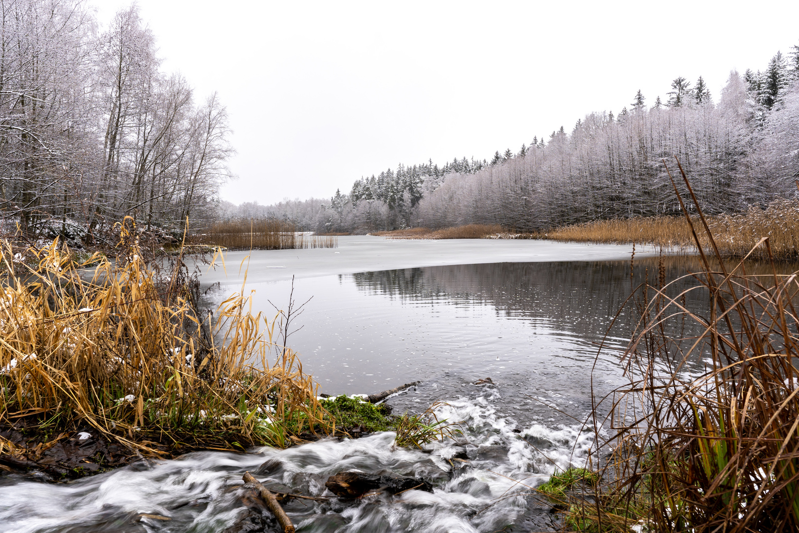 Der Heidemühlenteich im Winter - Der Zufluss