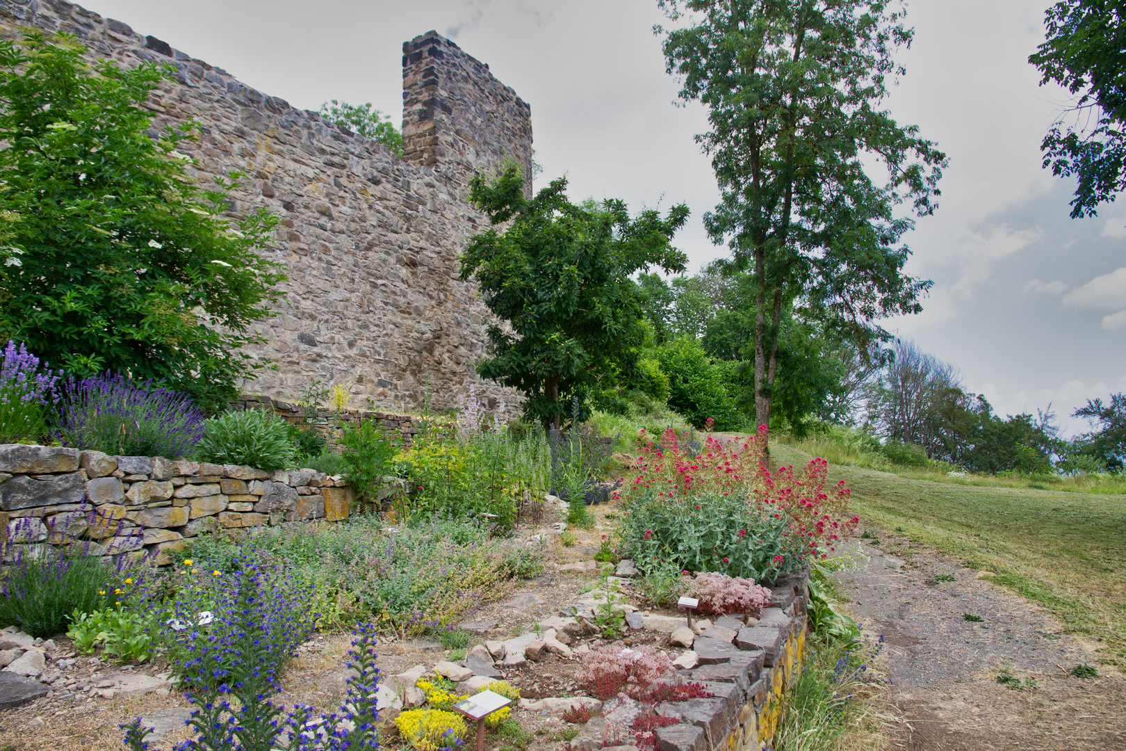 Der Heil- und Kräutergarten der Burg Olbrück