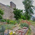 Der Heil- und Kräutergarten der Burg Olbrück