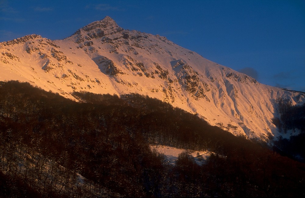 Der heilige Berg 1