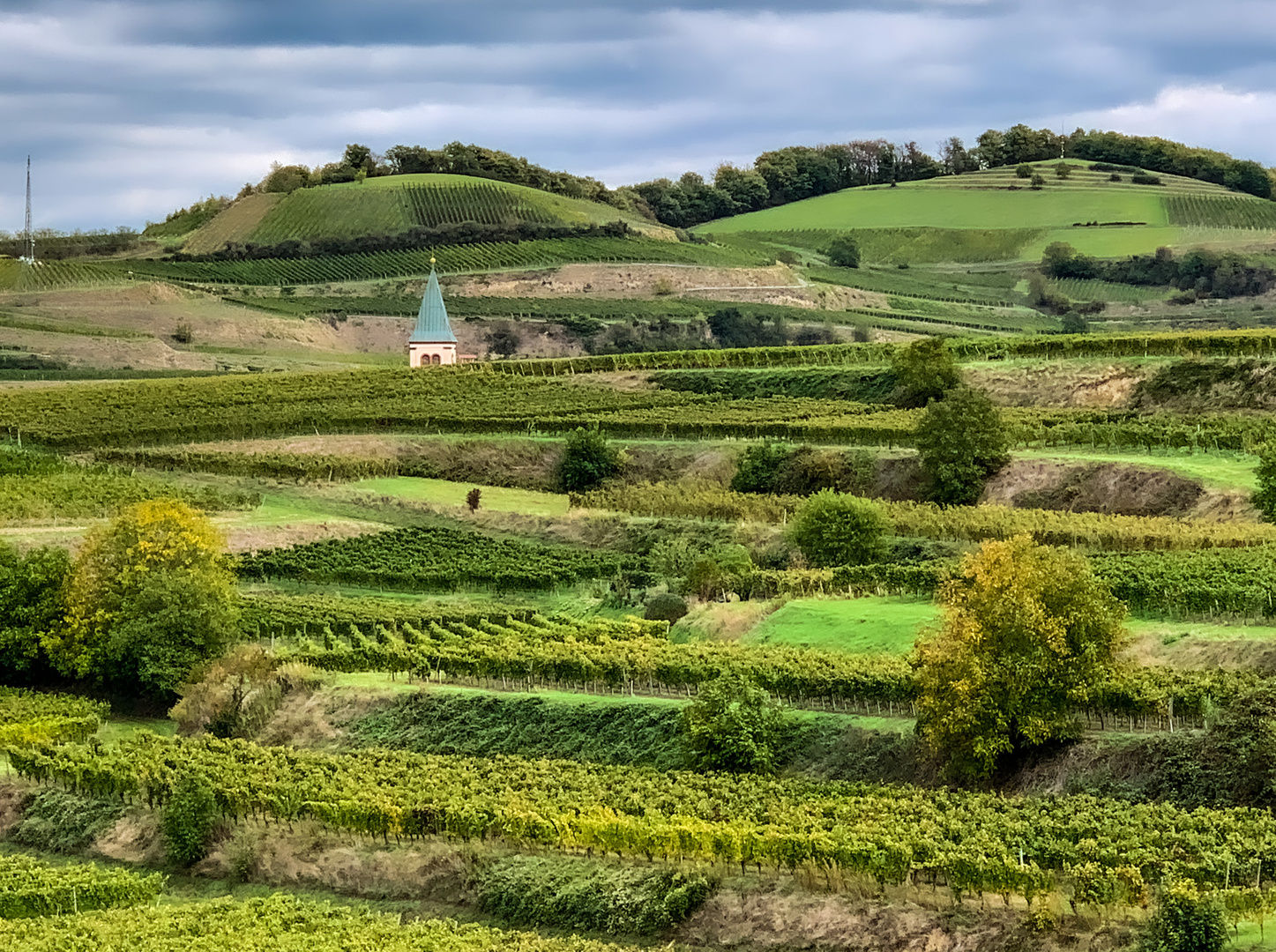 Der Heilige Weinberg