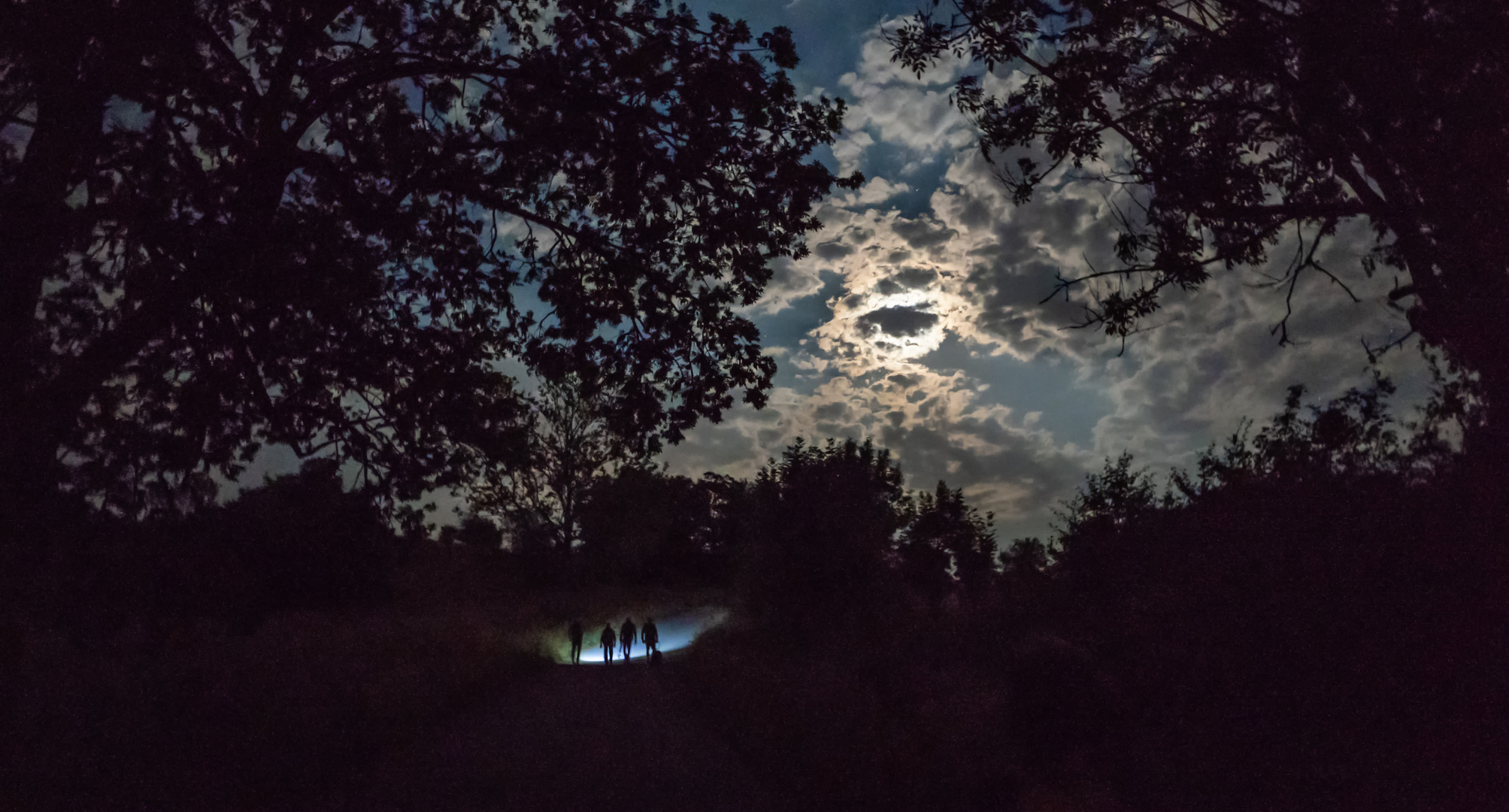 Der Heimweg Foto & Bild | bäume, wolken, weg Bilder auf fotocommunity