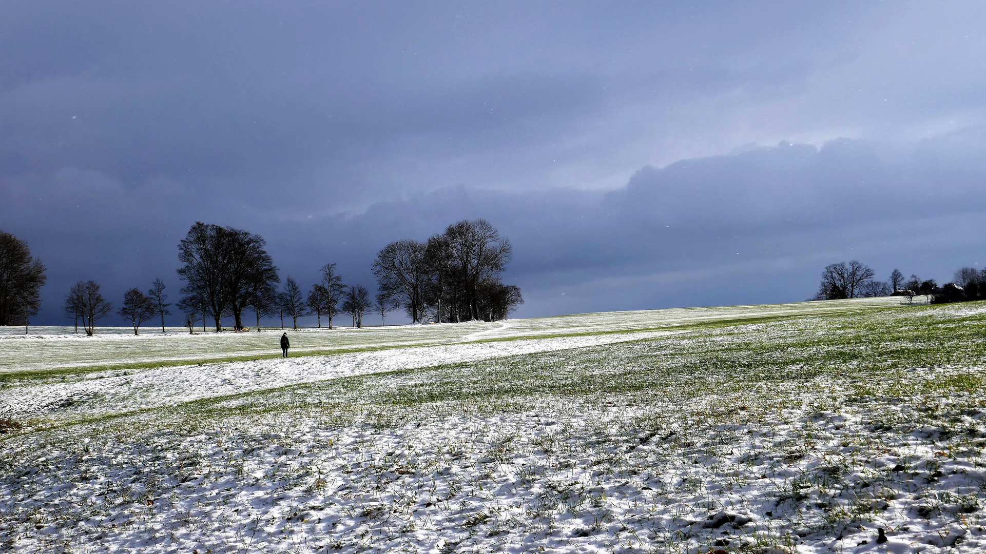 Der Heimweg