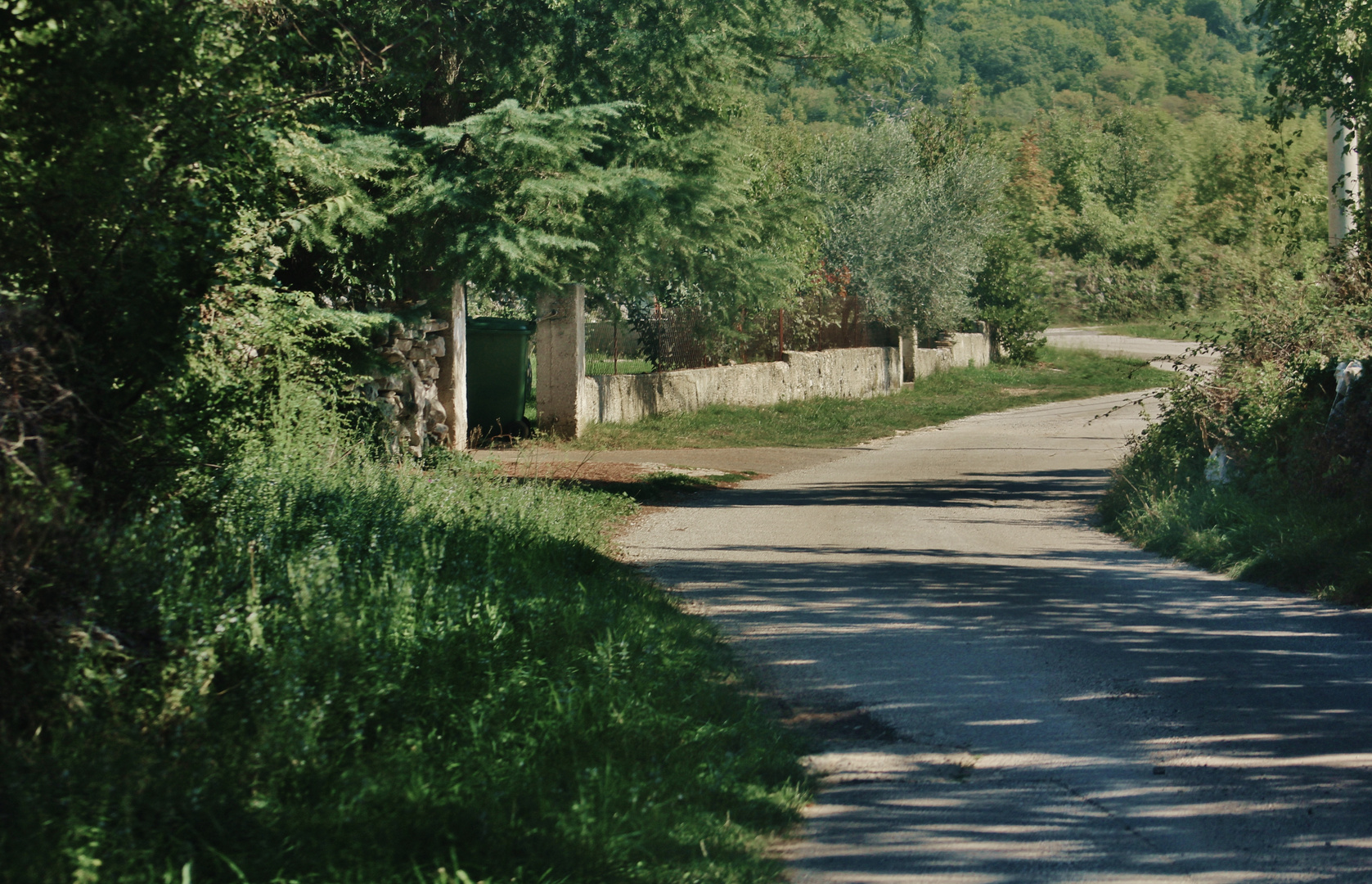 der Heimweg 