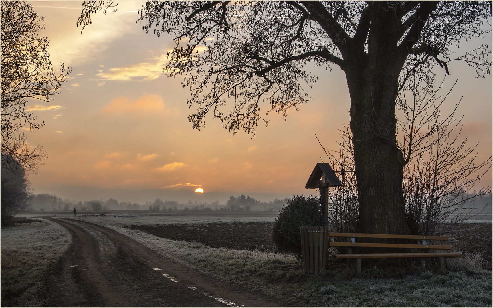 Der Heimweg....