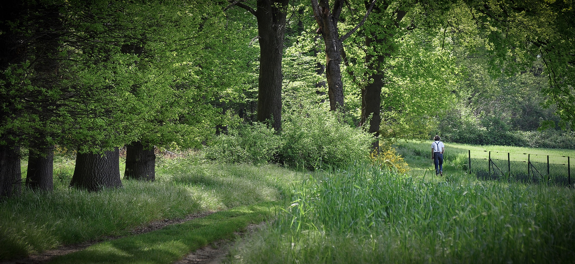 der Heimweg.....