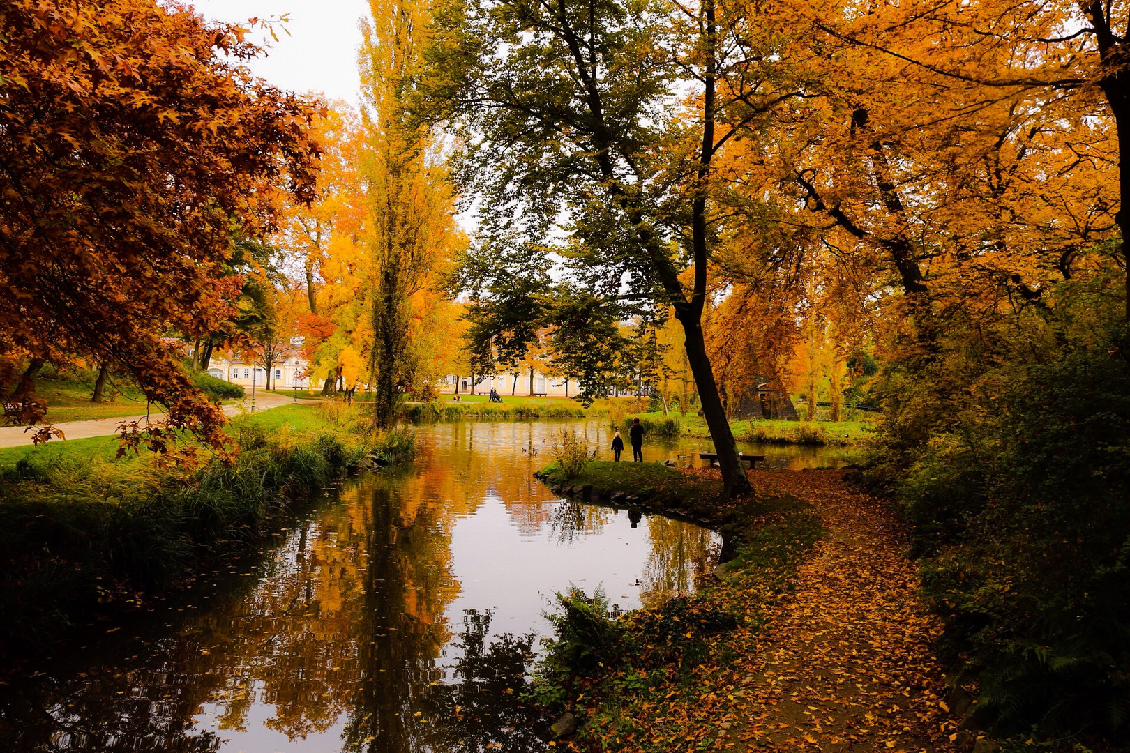 Der Herbst&hellip; Foto &amp; Bild | bäume, natur, landschaft Bilder auf