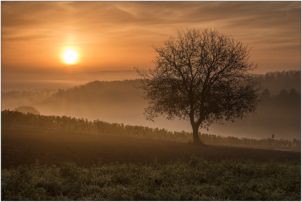 Der Herbst