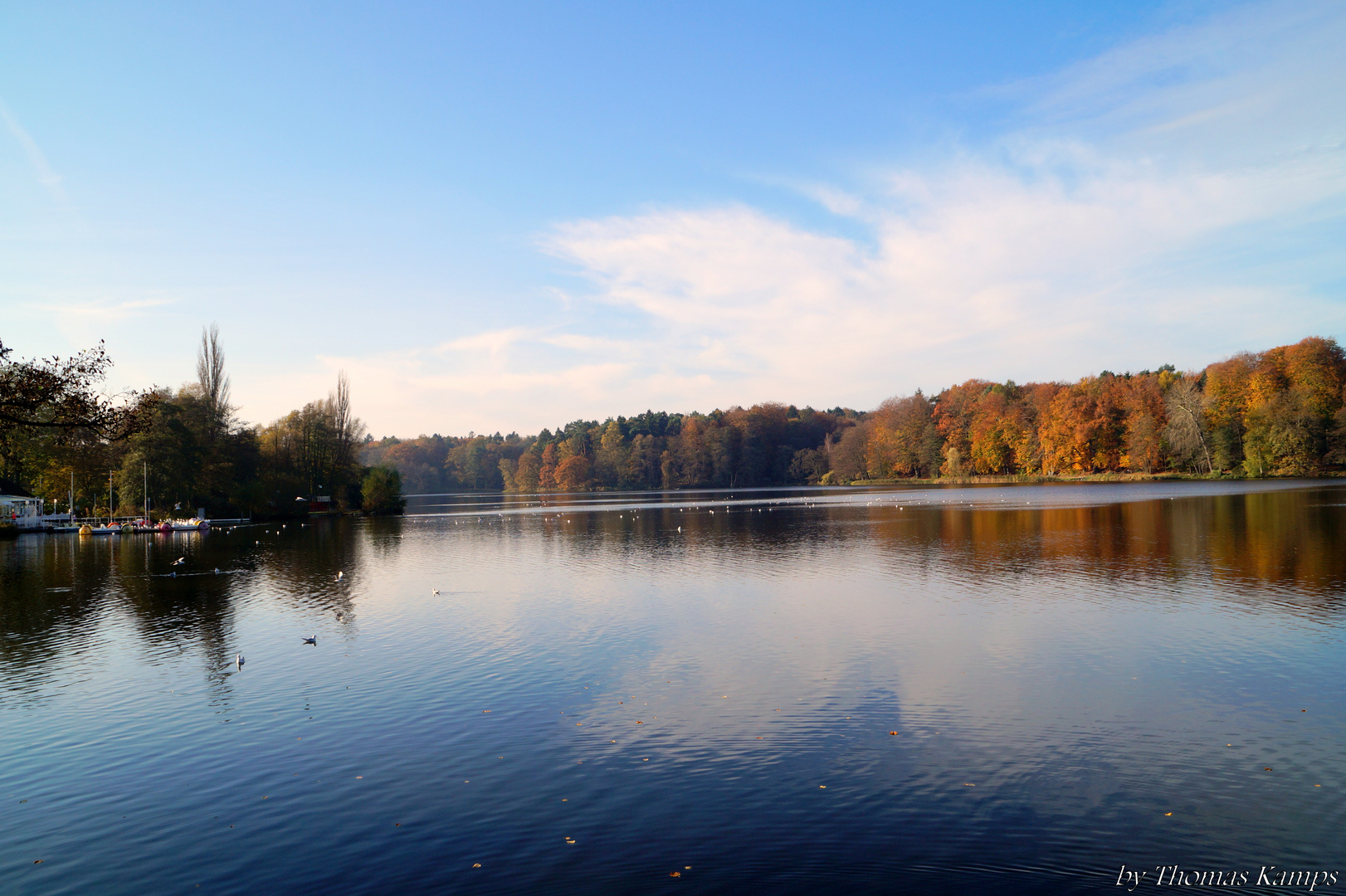 Der Herbst