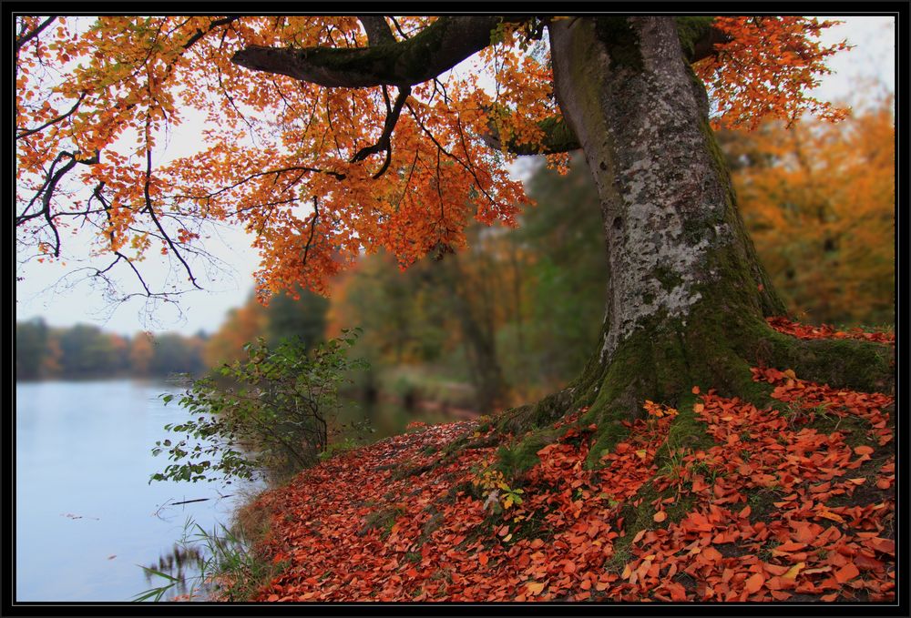 Der Herbst ...