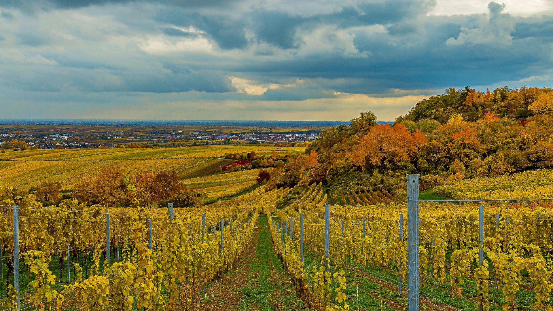 DER HERBST