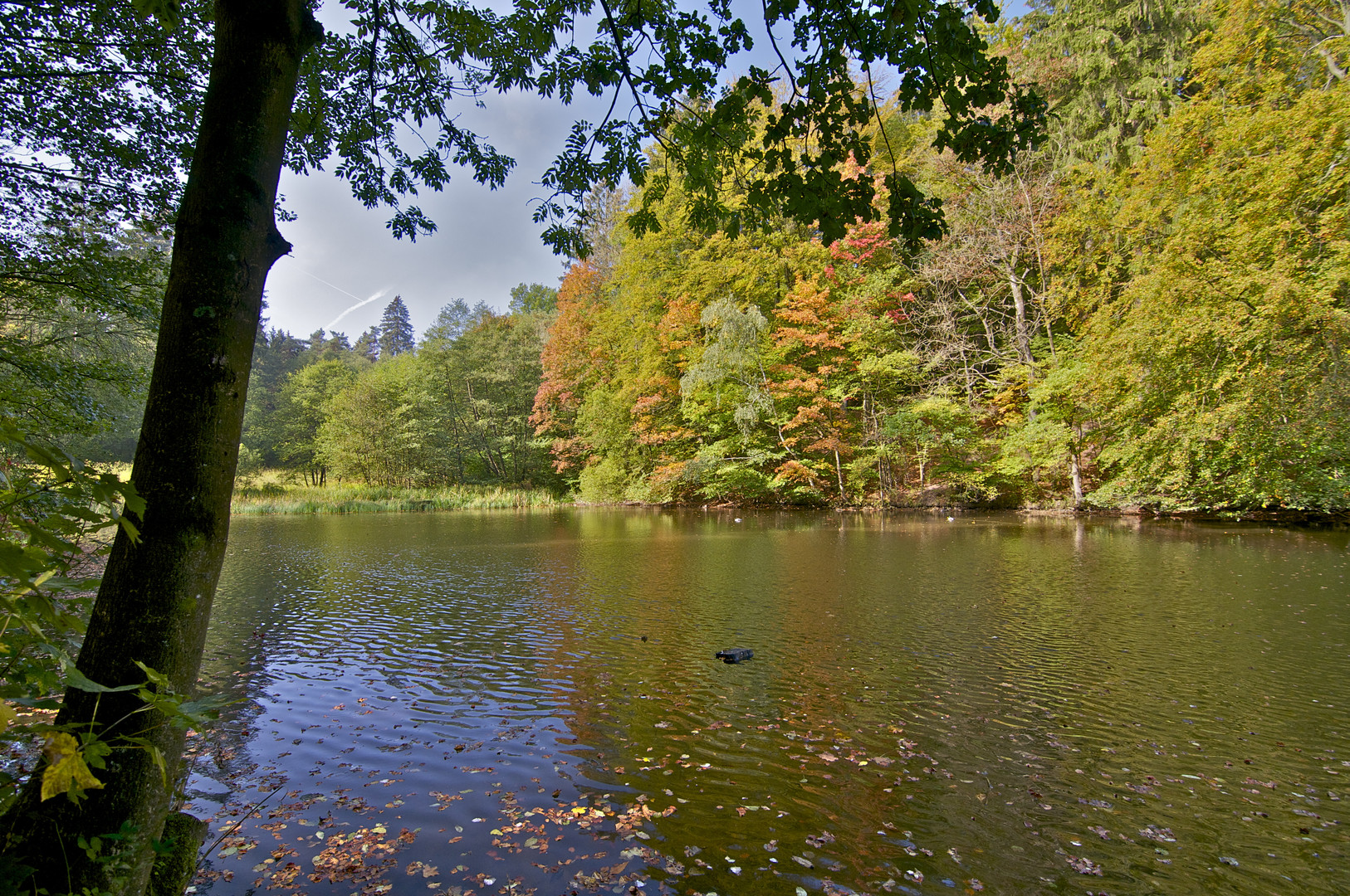 Der Herbst