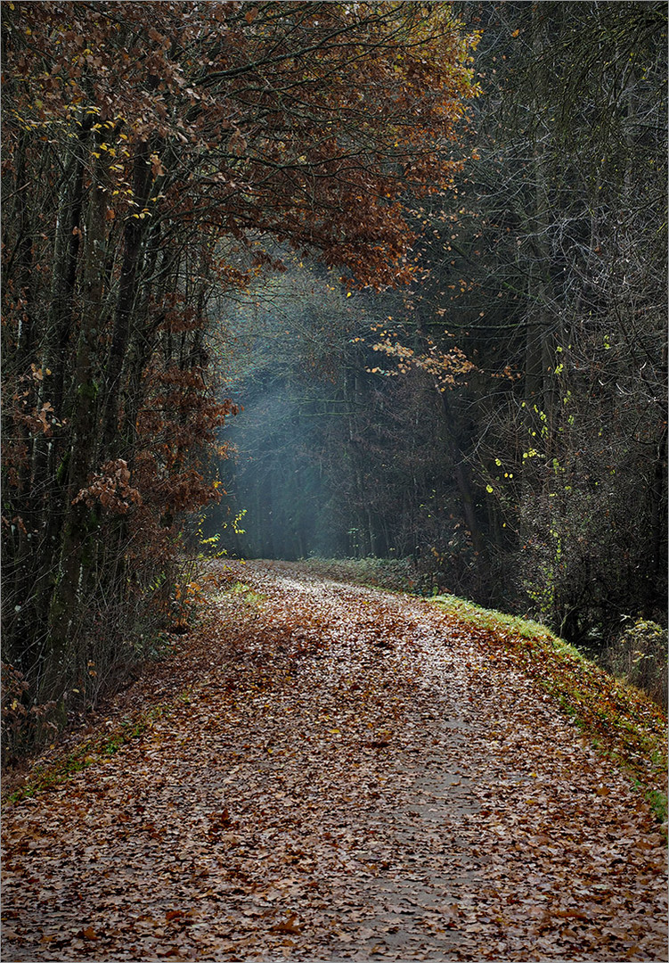 Der Herbst