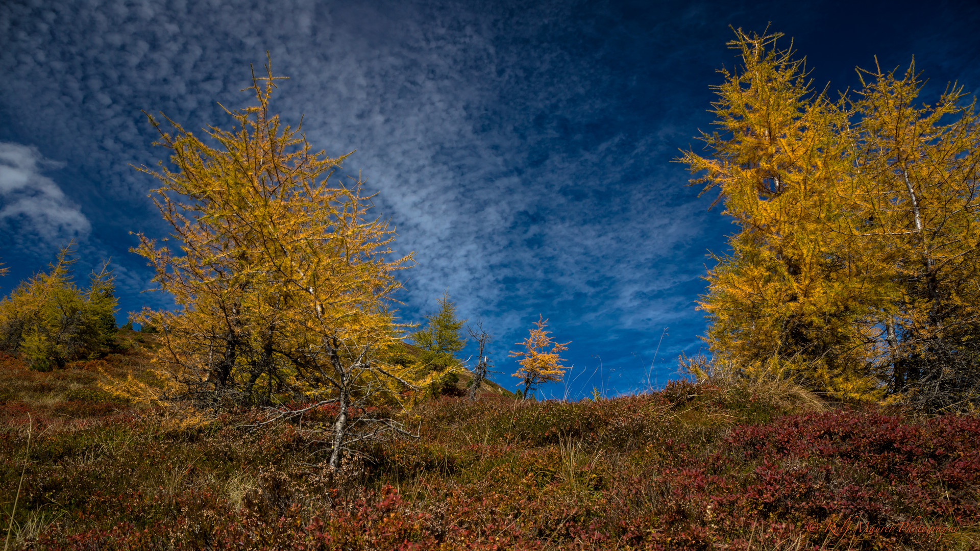 Der Herbst