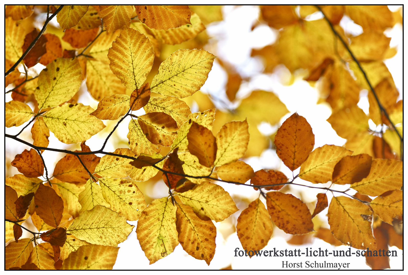 Der Herbst