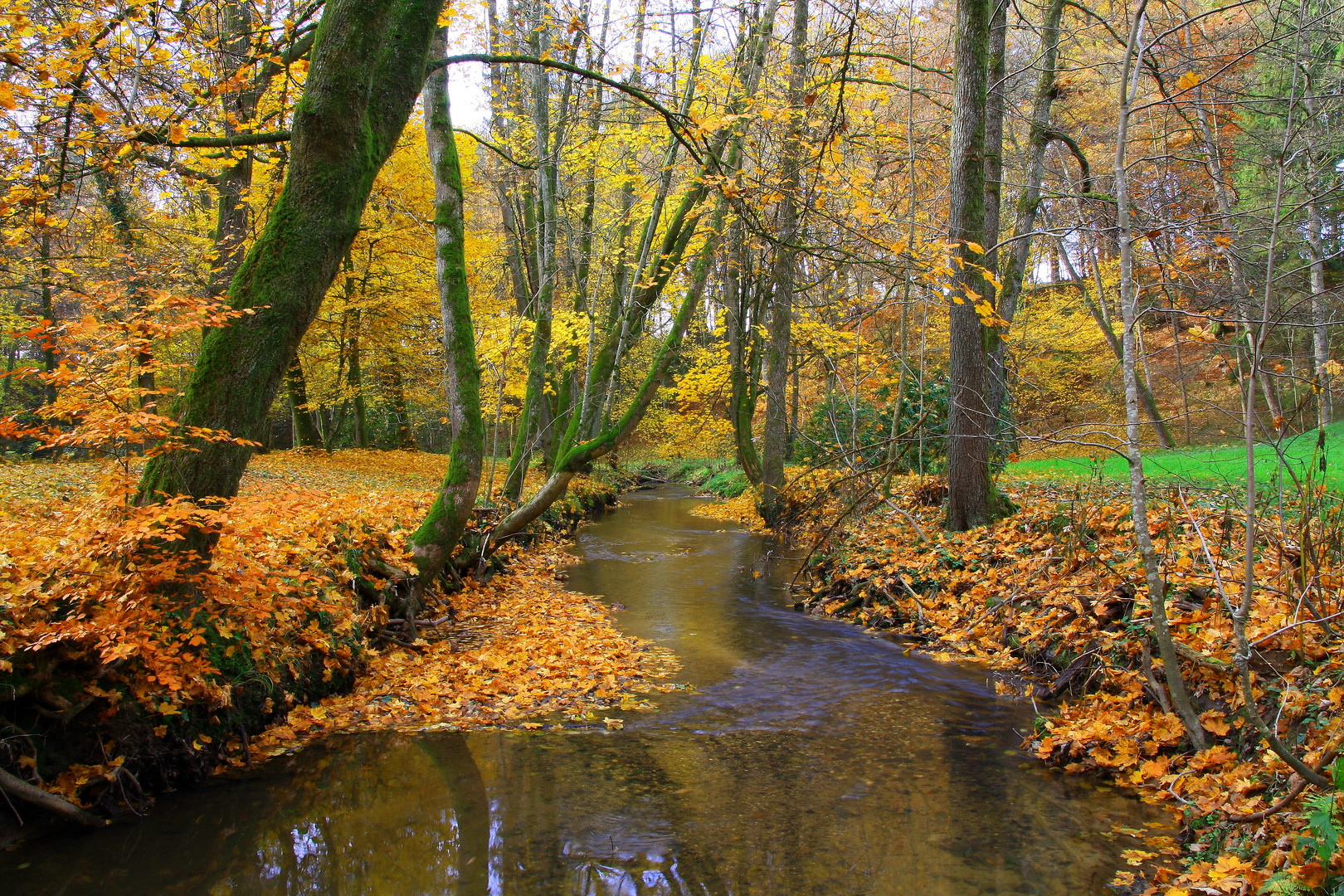 Der Herbst 2