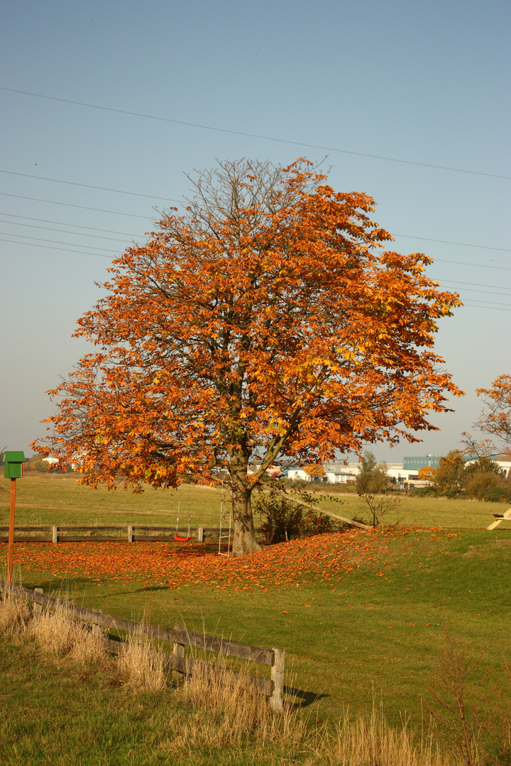 Der Herbst