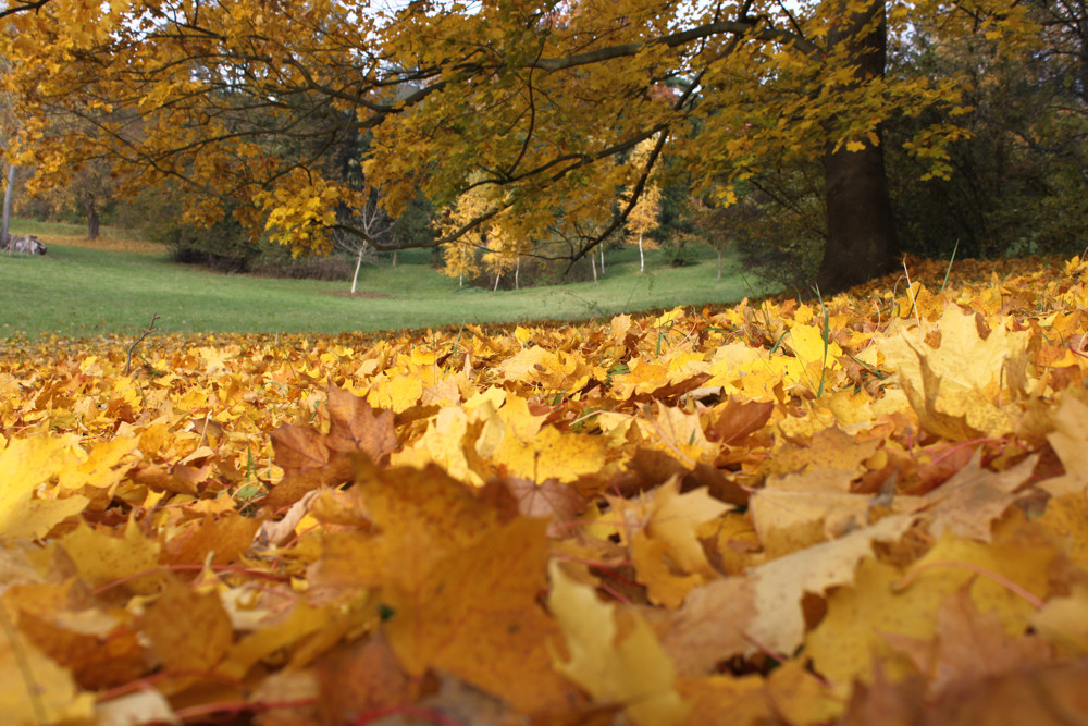 Der Herbst