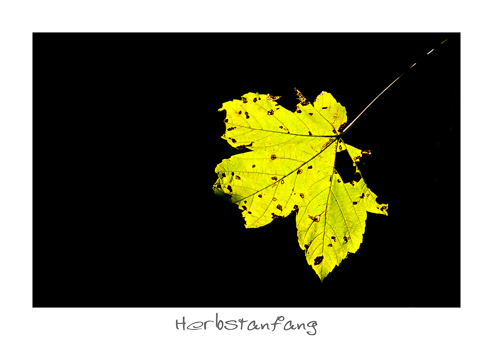 Der Herbst