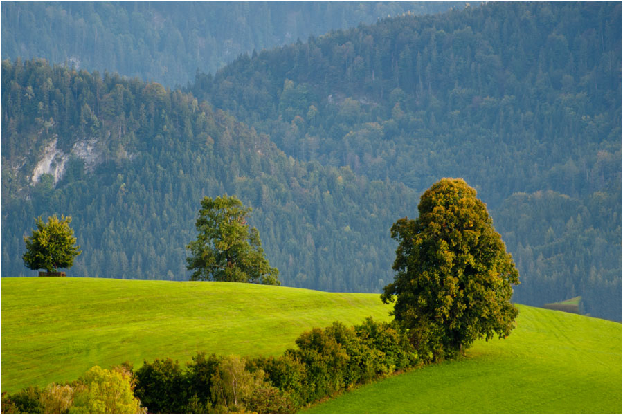 Der Herbst