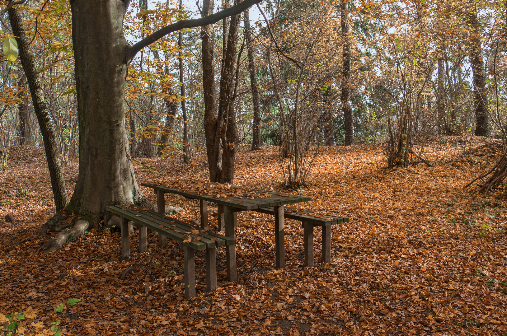 Der Herbst.....