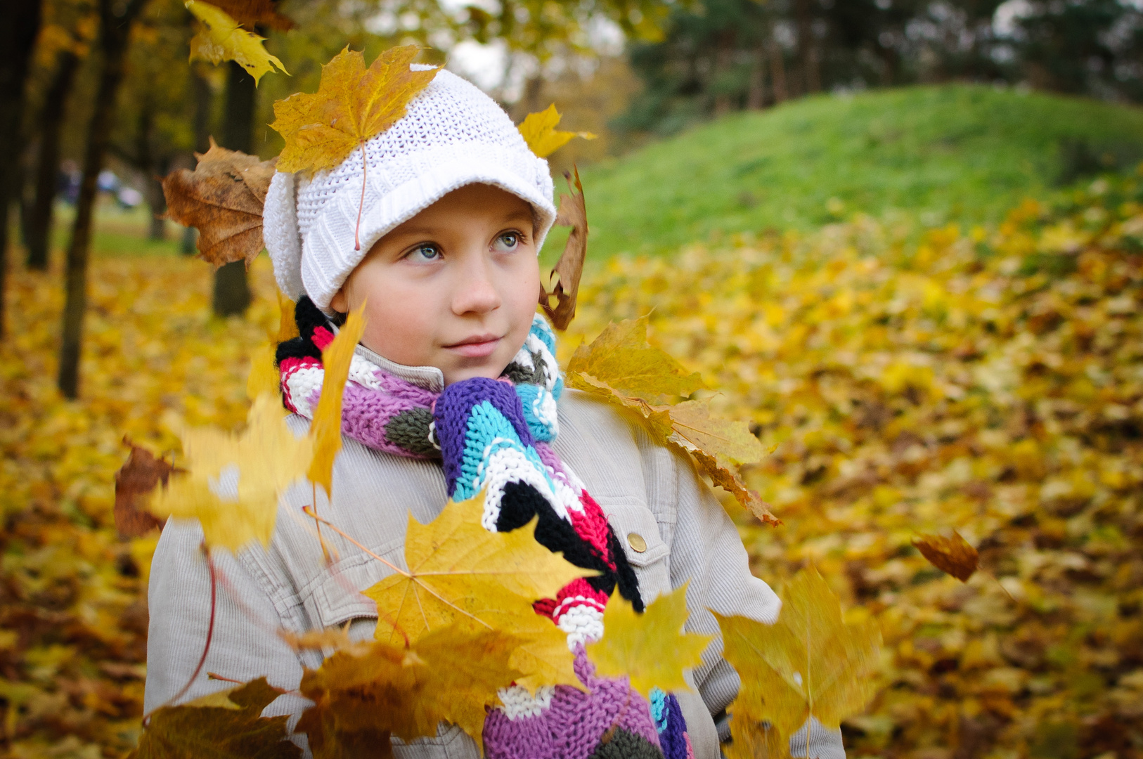 Der Herbst