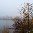 der Herbst 76