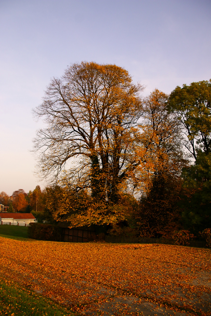 Der Herbst 