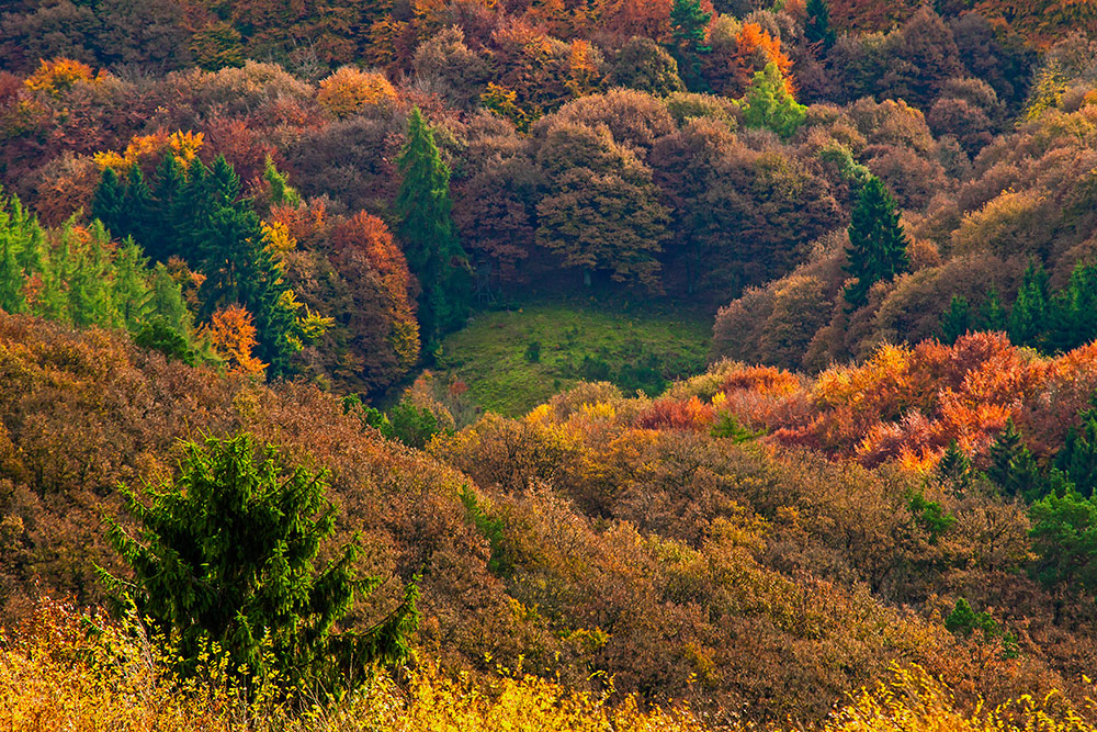 Der Herbst...