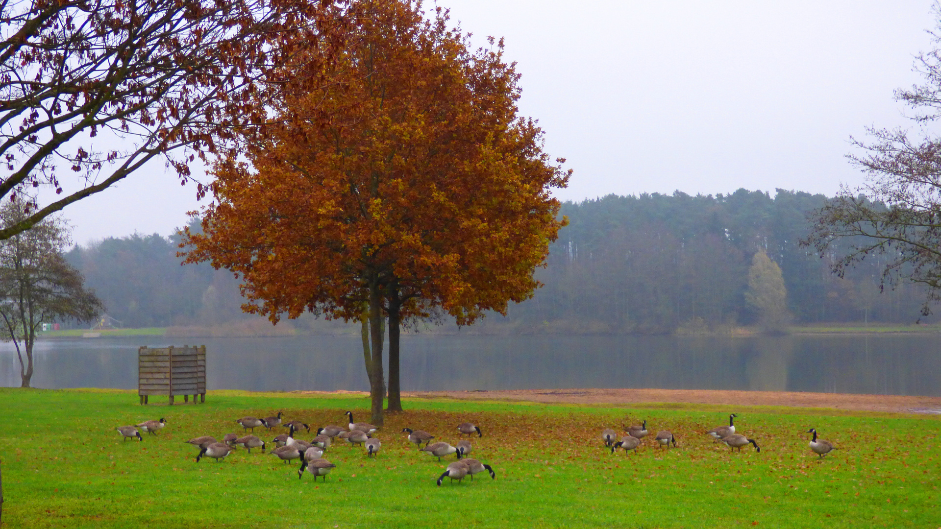 der Herbst 89