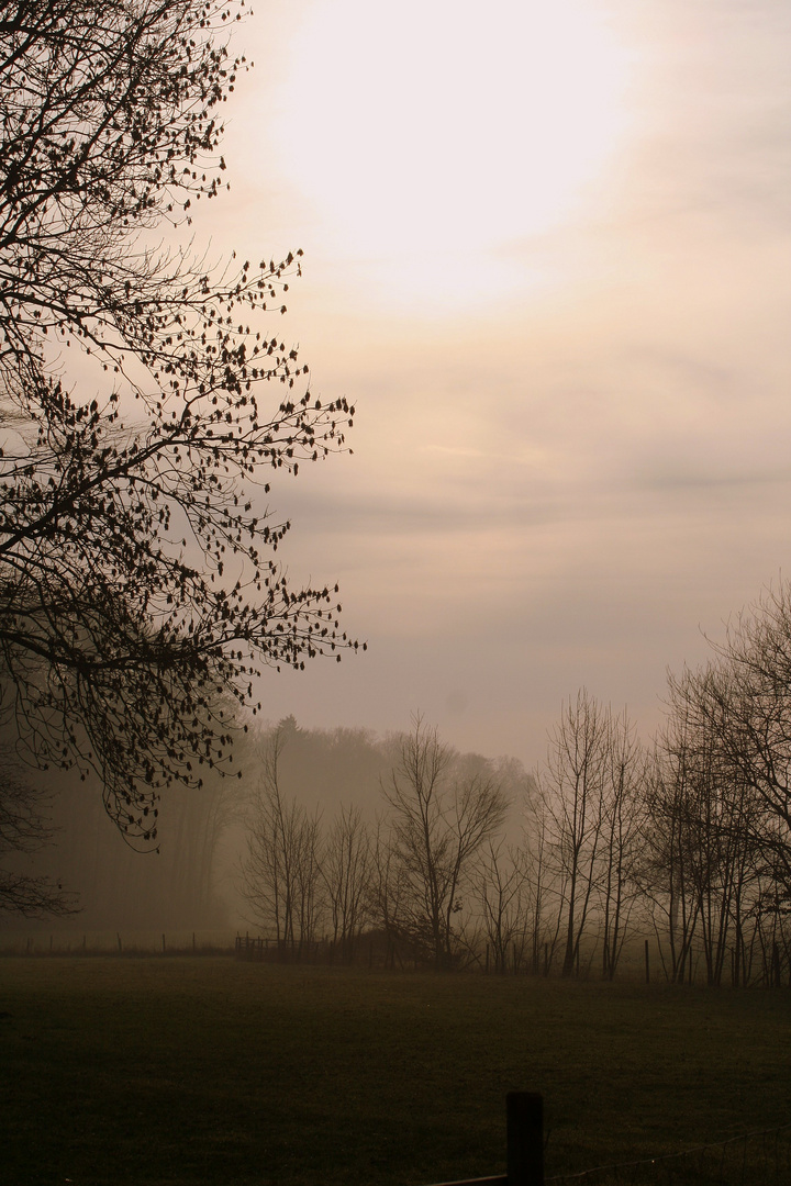 Der Herbst