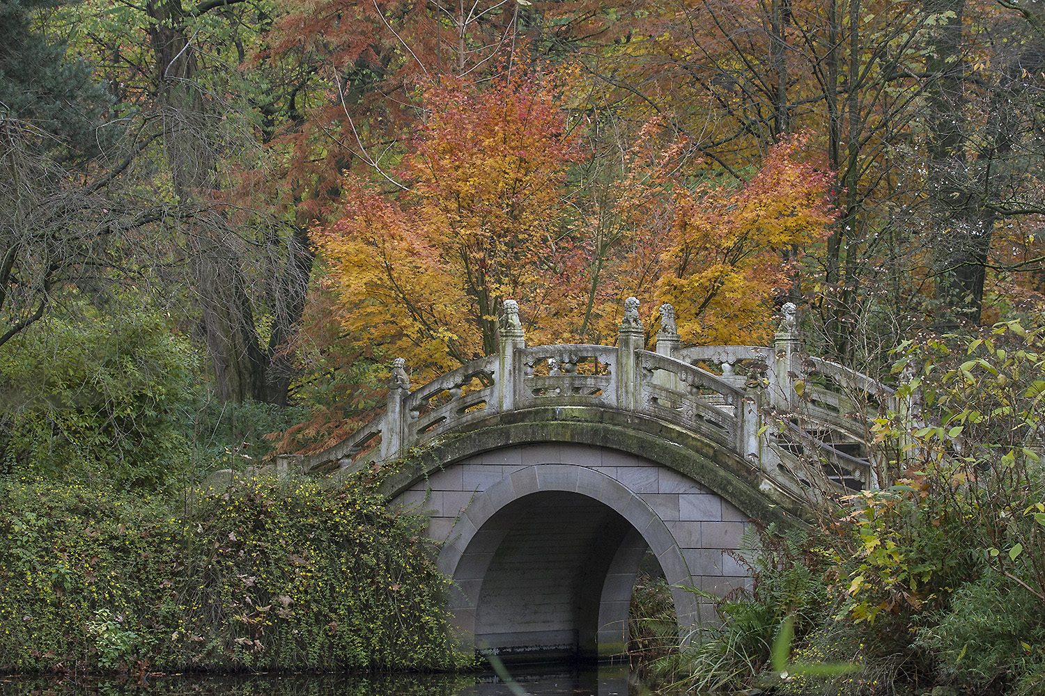 Der Herbst