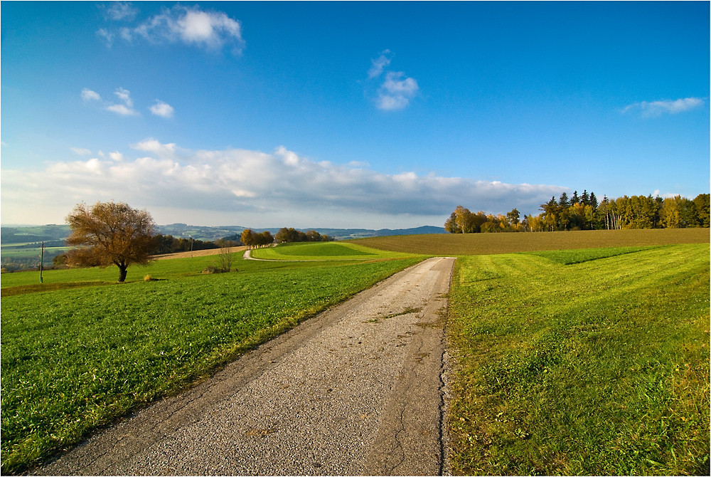 der Herbst