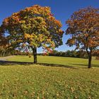 Der Herbst